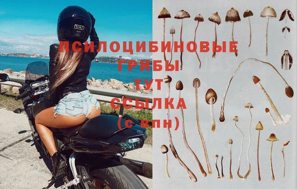 apvp Тихвин