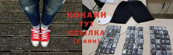 трава Аркадак