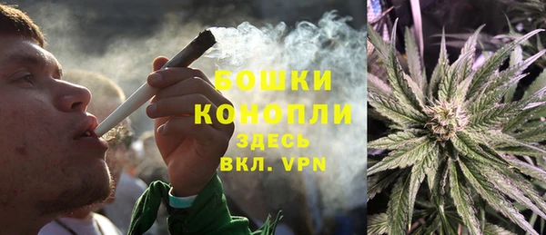 трава Аркадак
