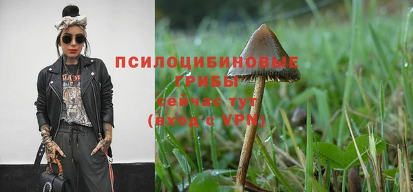 трава Аркадак